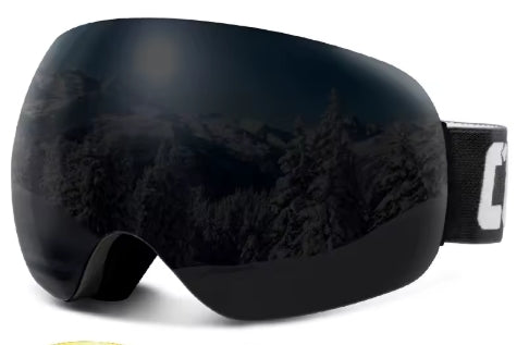 Ski goggles